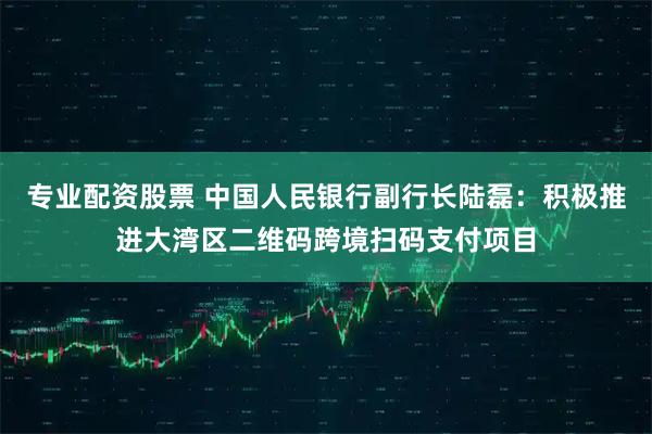 专业配资股票 中国人民银行副行长陆磊：积极推进大湾区二维码跨境扫码支付项目