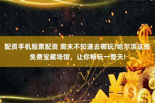 配资手机股票配资 周末不知道去哪玩?哈尔滨这些免费宝藏场馆,让你畅玩一整天!